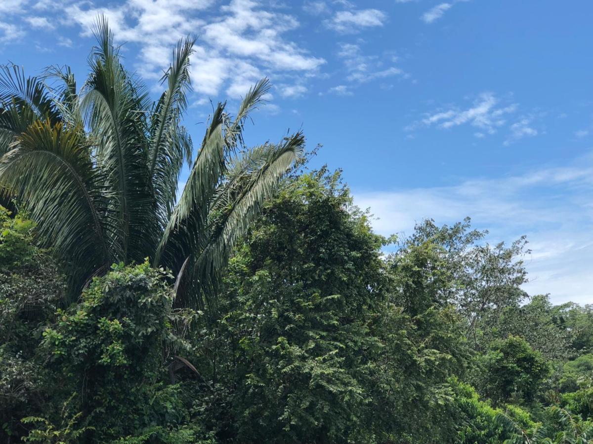Puesta Del Sol Hotel Quepos Kültér fotó