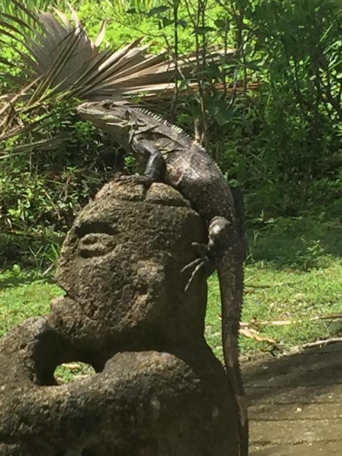 Puesta Del Sol Hotel Quepos Kültér fotó