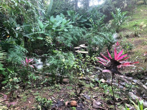 Puesta Del Sol Hotel Quepos Kültér fotó