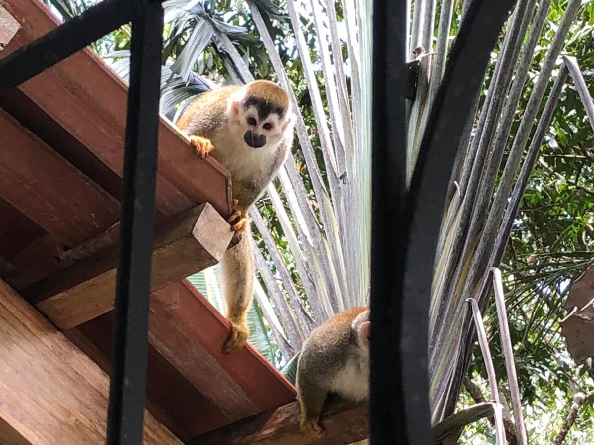 Puesta Del Sol Hotel Quepos Kültér fotó
