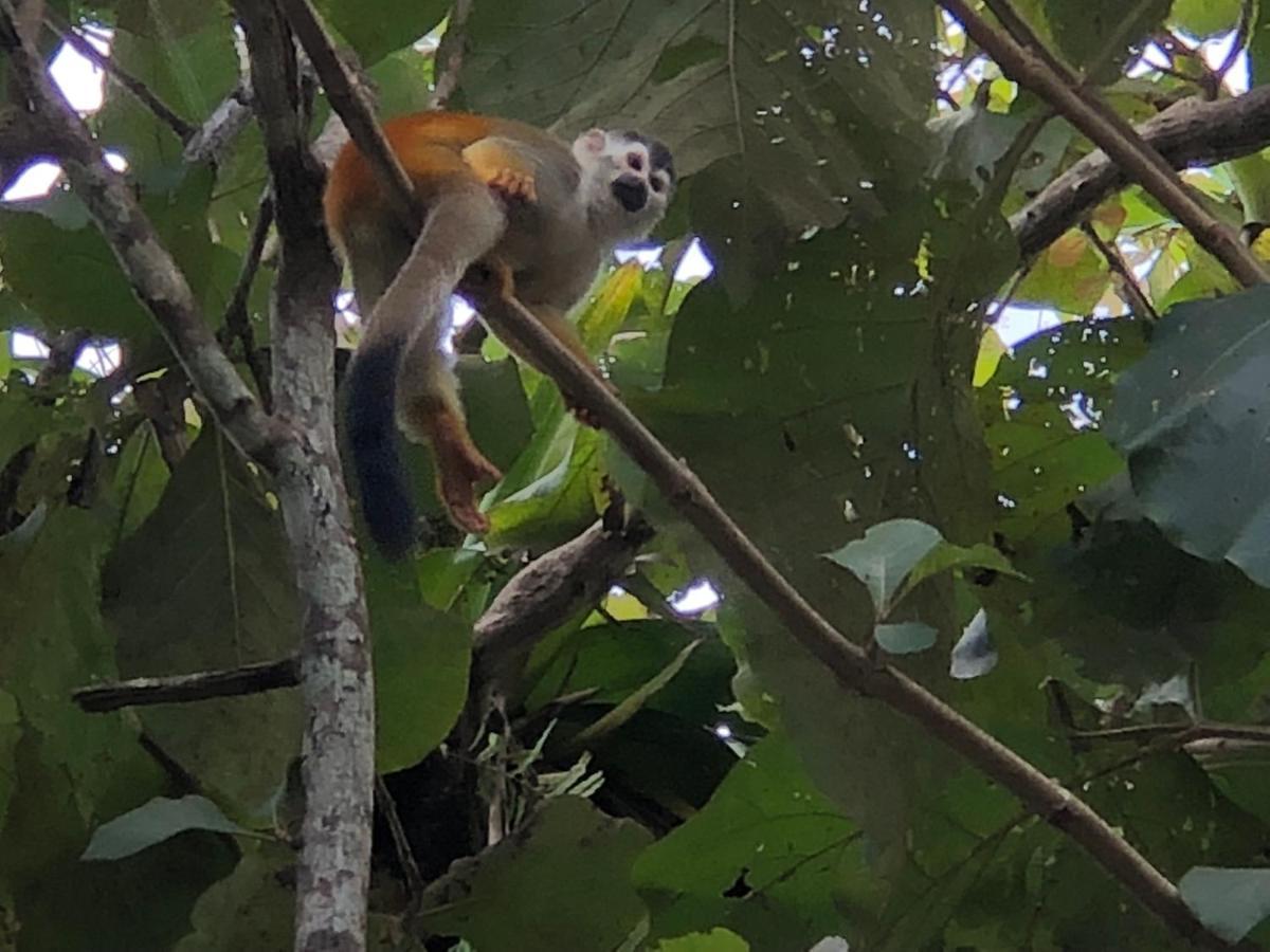 Puesta Del Sol Hotel Quepos Kültér fotó