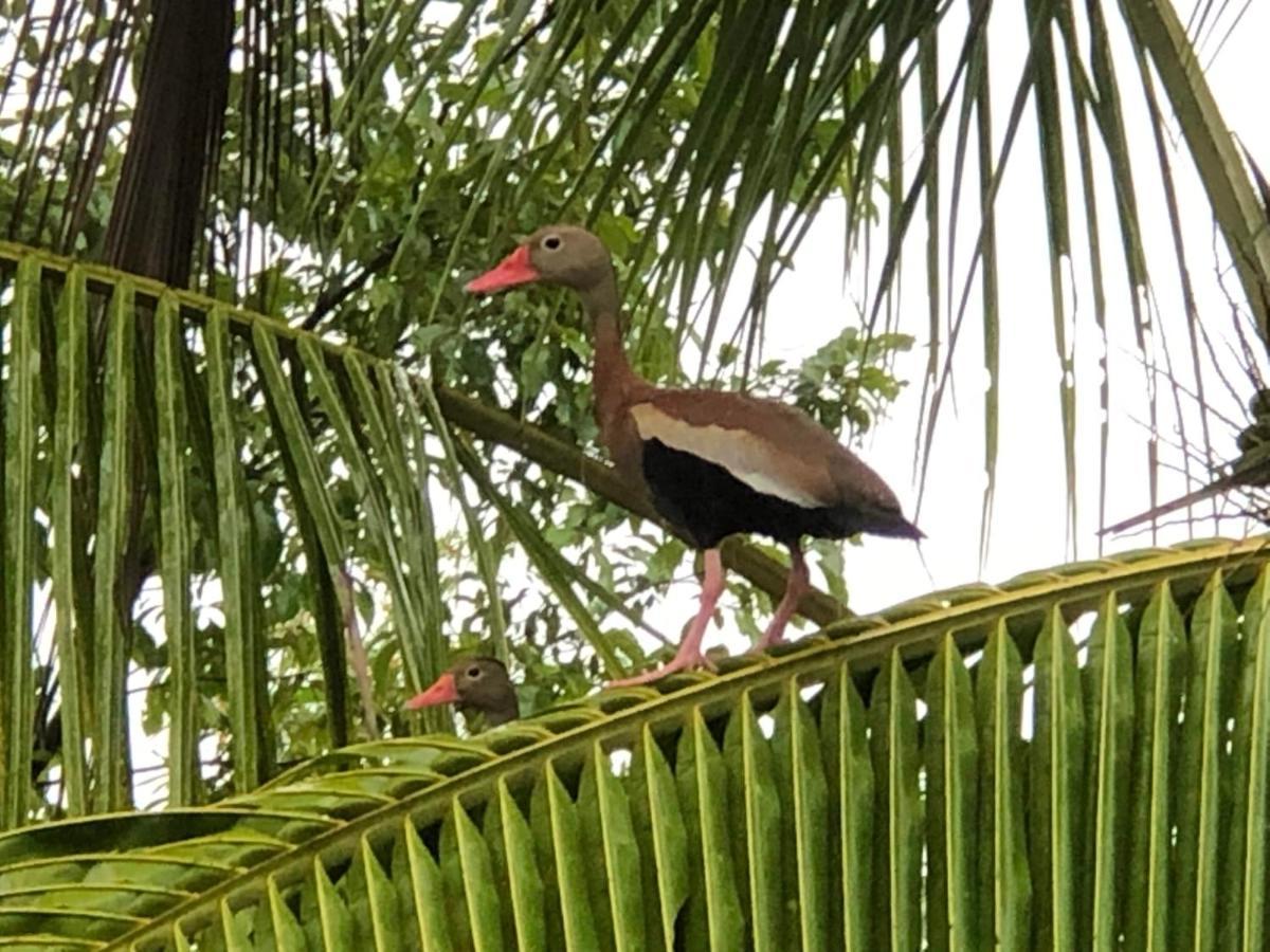 Puesta Del Sol Hotel Quepos Kültér fotó