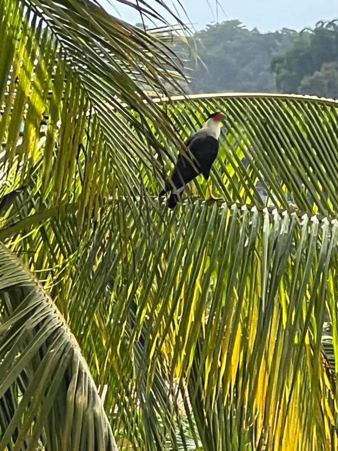 Puesta Del Sol Hotel Quepos Kültér fotó
