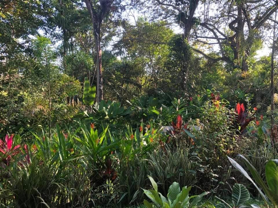 Puesta Del Sol Hotel Quepos Kültér fotó