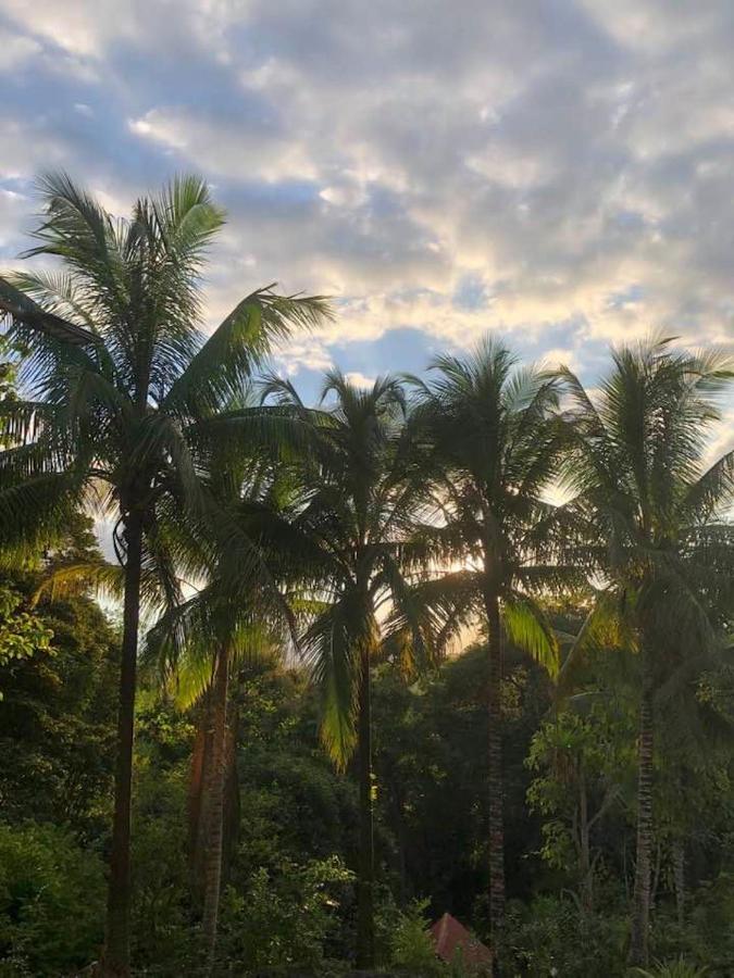 Puesta Del Sol Hotel Quepos Kültér fotó
